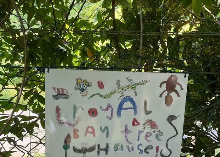 Royal Bay * Anse Royale